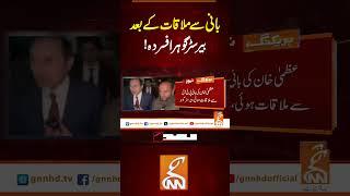 بانی سے ملاقات کے بعد بیرسٹر گوہر افسردہ!#Gnn #Latestupdates #News #BarristerGohar #Politics  #PTI
