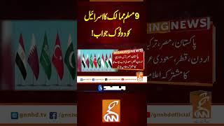 9 مسلم ممالک کا اسرائیل کو دوٹوک جواب!#gnn #latest #updates #news newsupdates
