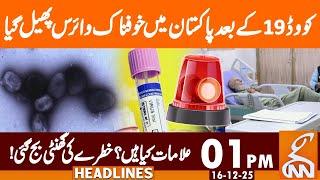 After Covid-19, Terrible Virus Spread in Pak, Symptoms? | News Headlines | 01 PM | 16 Dec 25 | GNN