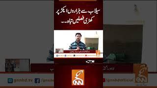 سیلاب سے ہزاروں ایکڑ پر کھڑی فصلیں تباہ۔۔#gnn #latest #updates #breaking #breakingnews #news