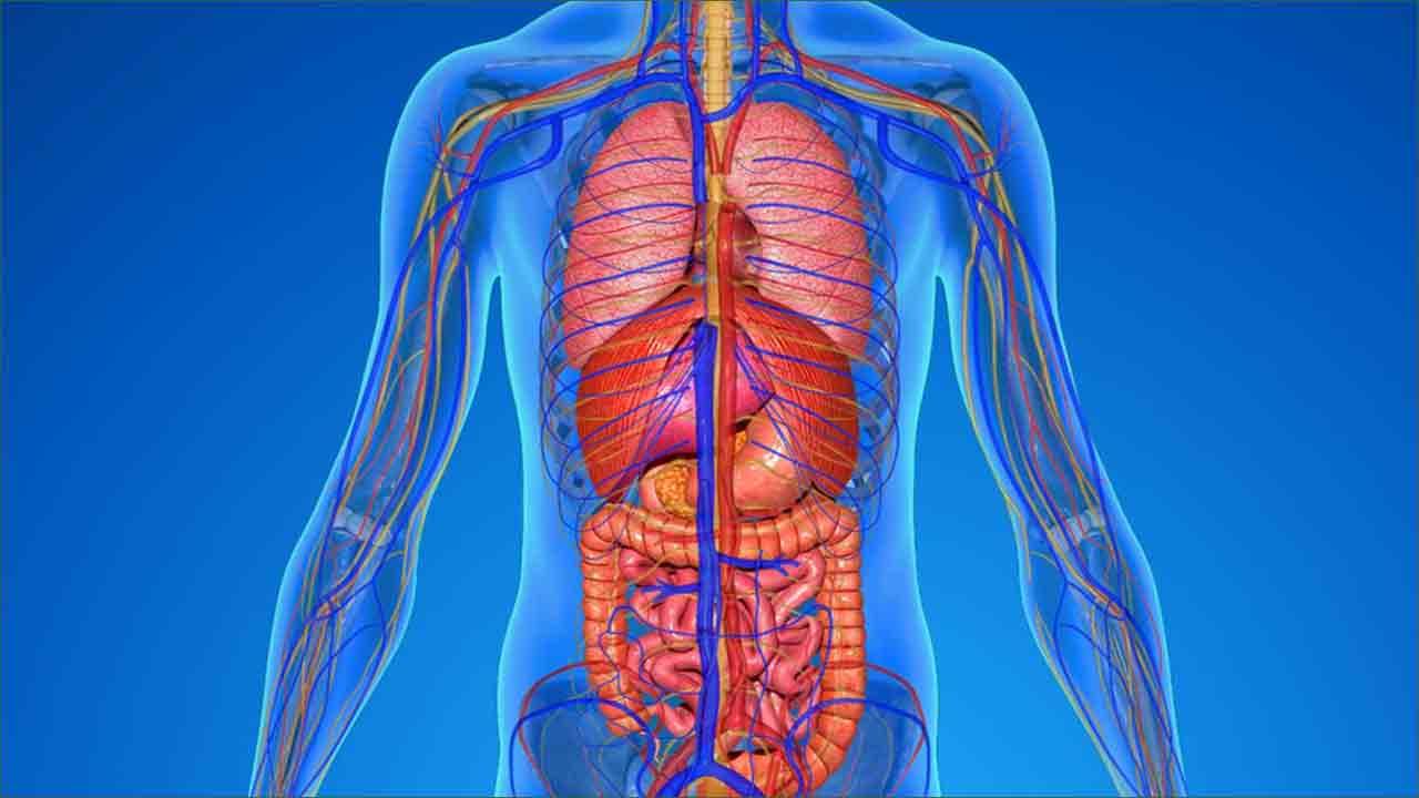 انسانی جسم پر رات گئے لائٹ کے استعمال کے جان لیوا نقصانا ت