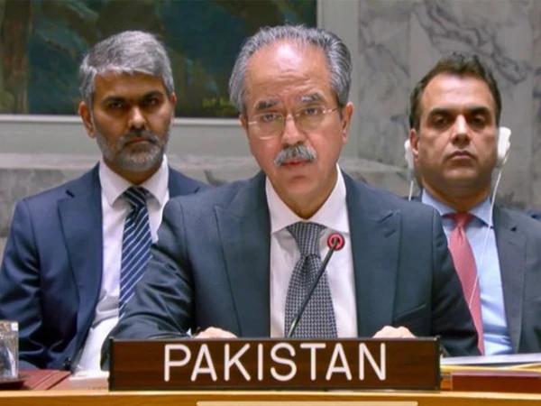 سلامتی کونسل اجلاس : پاکستان کا مشرقی کانگو میں فوری جنگ بندی اور افریقی قیادت میں سیاسی حل پر زور