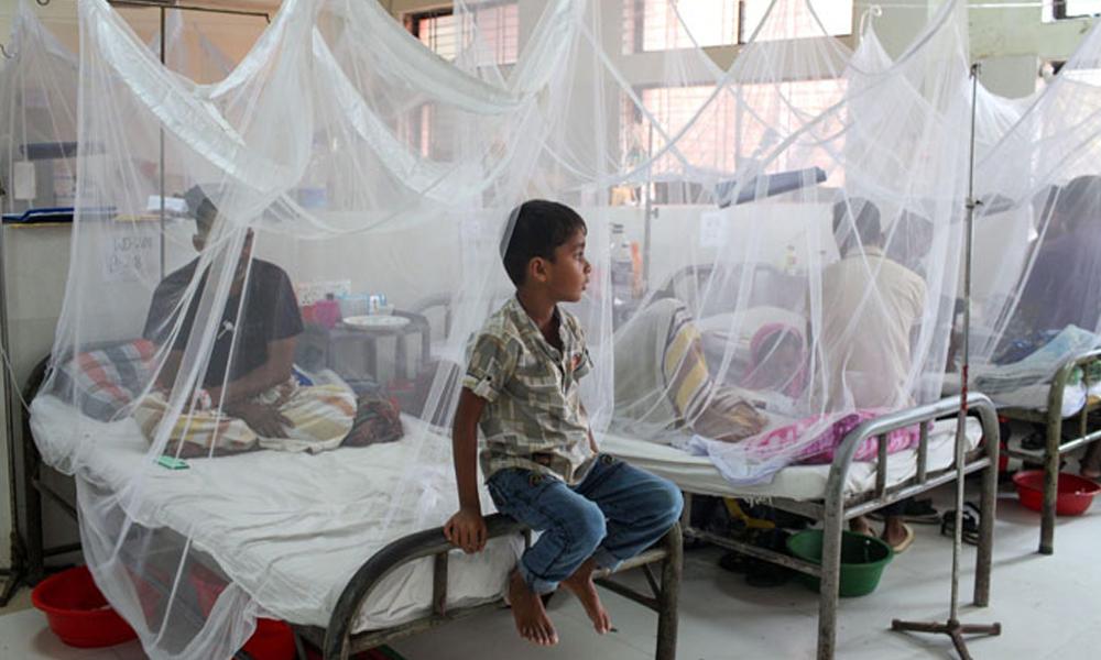 Dengue, malaria cases increase in interior Sindh