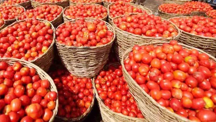 ملک کے مختلف شہروں میں ٹماٹروں کی قیمت بھی آسمان سے باتیں کرنے لگی
