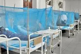 The dengue outbreak has intensified across KP, 80 new cases reported in 24 hours