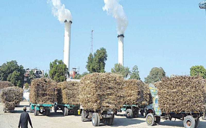 پنجاب حکومت کی وارننگ کے باعث نصف سے زائد شوگر ملوں نے کرشنگ کا آغاز کردیا