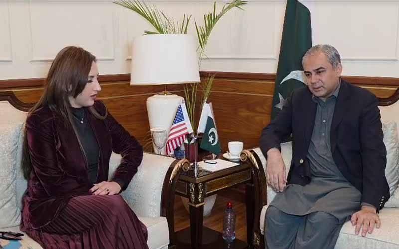 وزیر داخلہ محسن نقوی سے قائم مقام امریکی سفیر کی ملاقات، اسلام آباد دھماکے کی مذمت