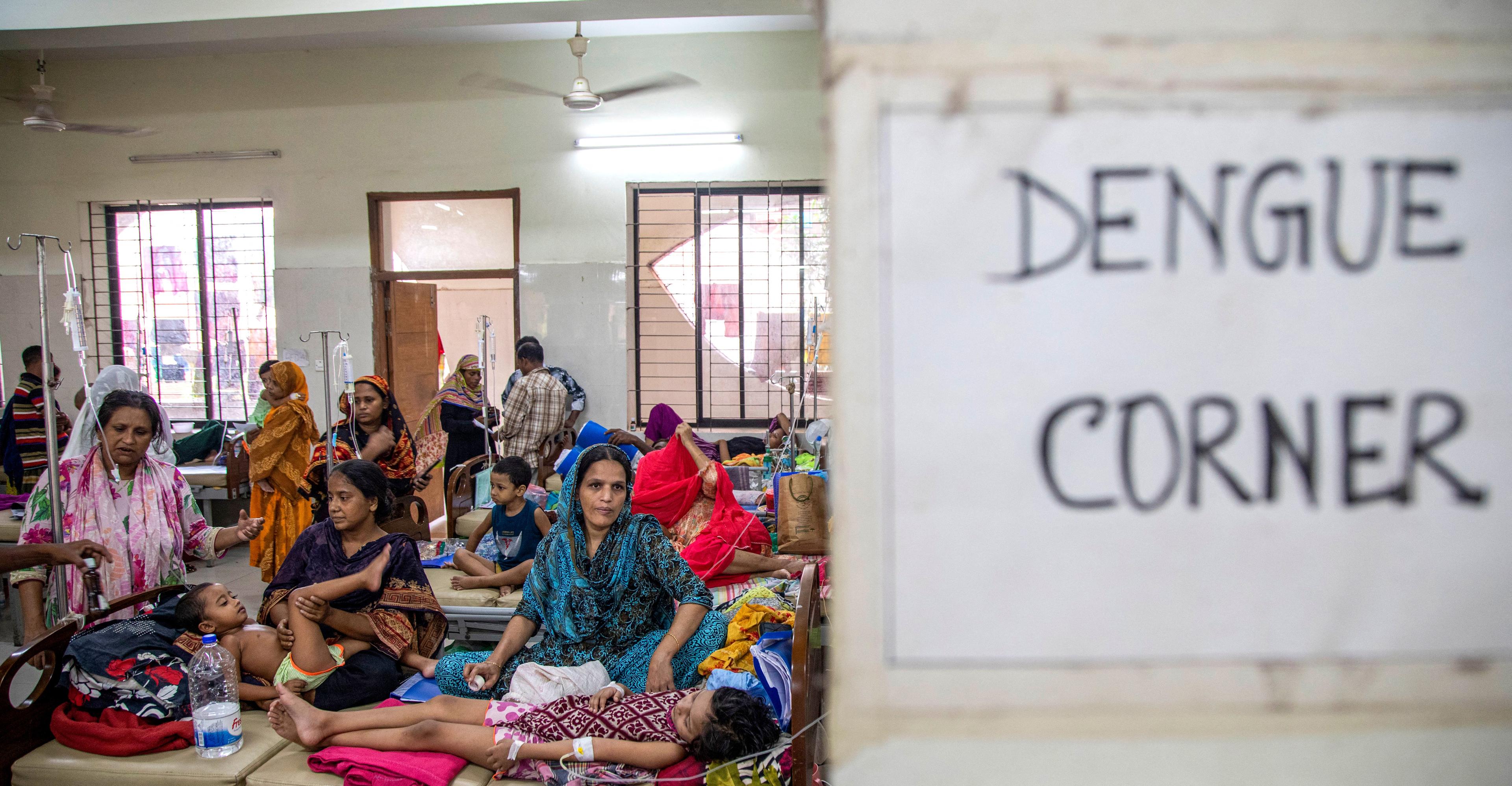 The biggest mosquito-borne disease in the world has a cure. There’s just one problem