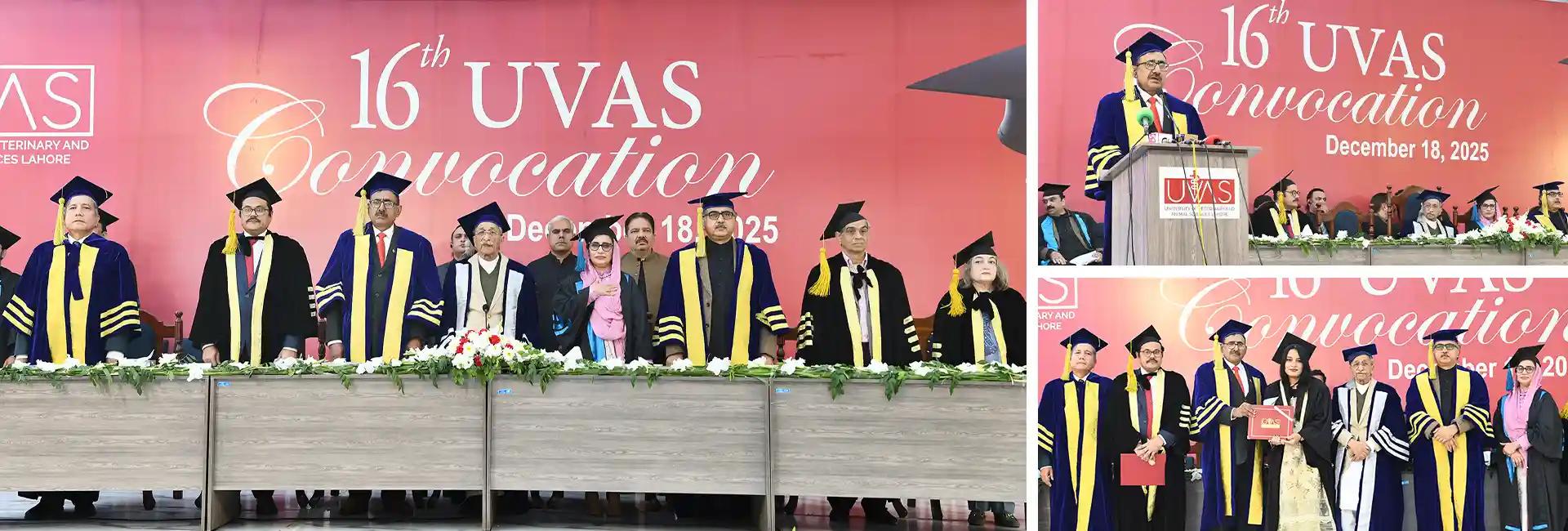 ویٹرنری یونیورسٹی کاسولہواں کانووکیشن:1,750 طلبہ کو ڈگر یا ں اورپوزیشن ہولڈرز63 طلبہ کو میڈلز د یئے گئے