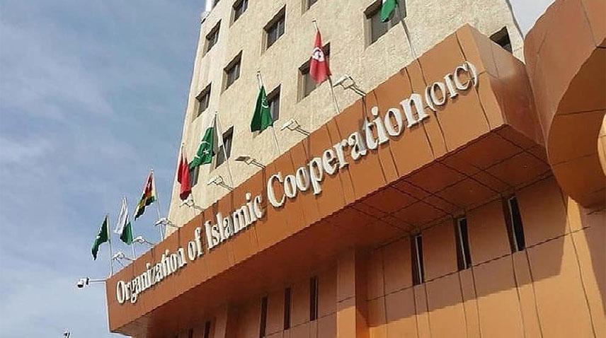 اسلامی تعاون تنظیم کی مکہ مکرمہ اور مدینہ منورہ کے علاقے پر حوثی حملوں کی شدید مذمت