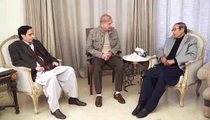 ن لیگ کا اعلیٰ سطحی وفد چودھری برادران سے ملاقات کے لیےان کی رہائش گاہ پہنچ گیا