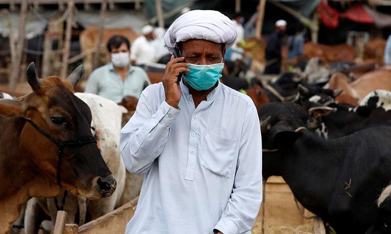 بغیر ماسک مویشی منڈیوں میں داخلے پر پابندی