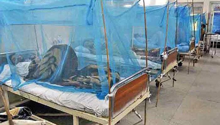40 dengue cases registered in KP