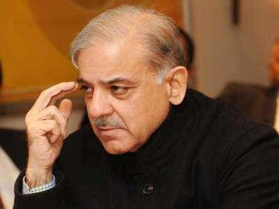 دوبارہ اقتدار ملا تو قوم کے ہر بچے کو لیپ ٹاپ دیں گے ، شہباز شریف