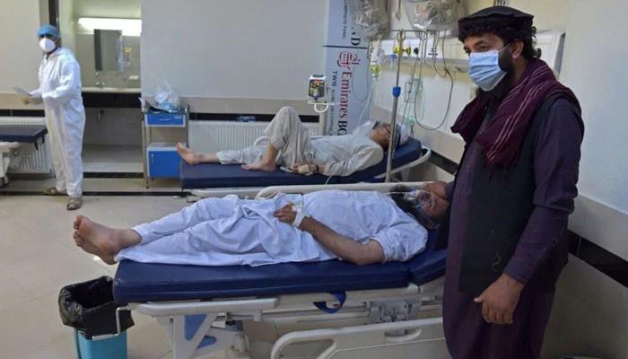 کوئٹہ:کانگو وائرس سے ایک اور مریض دم توڑ گیا