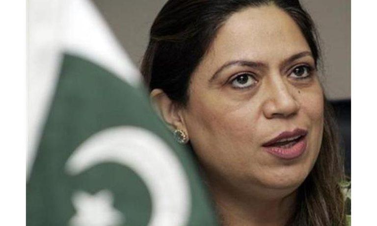 پاکستانی خواتین نے ہر شعبہ زندگى میں نام کمایا ہے ،نیلوفر بختیار