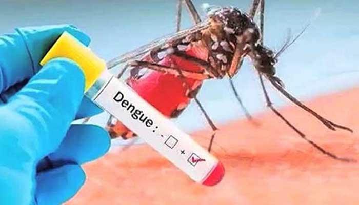 50 more new dengue patients in Punjab