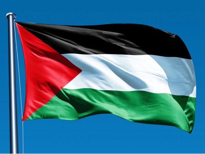 نیویارک کے ہزاروں مکین کرسمس کے موقع پر فلسطینیوں کی حمایت میں سڑکوں پر نکل آئے