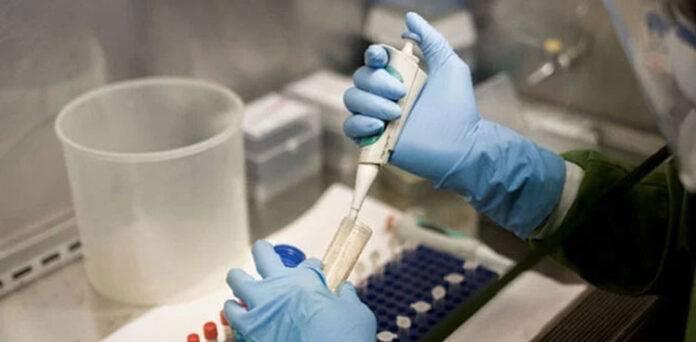 Nine environmental samples positive for poliovirus
