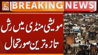Cattle Market Crowdy, Latest Situation | Breaking News | GNN