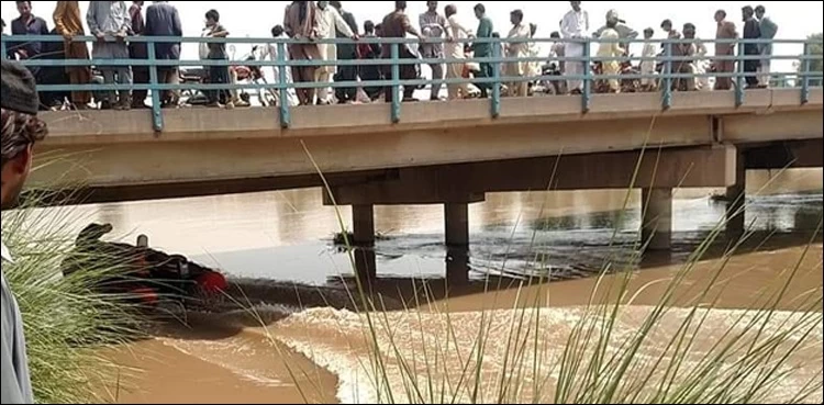 11 family members drown as van falls into canal