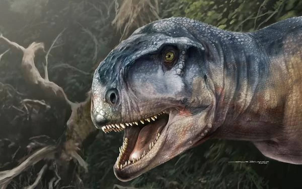Llukalkan Aliocranianus: 85-million-year-old carnivorous dinosaur discovered in Argentine