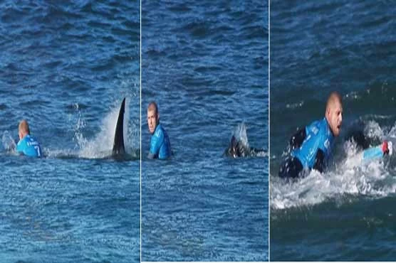 Shark kills ‘surfer’ in Australia