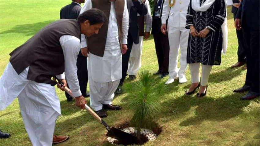 PM to launch countrywide monsoon plantation campaign today