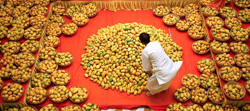 Pakistan to export up to 160,000 MT of mangoes in year 2021, Razak Dawood