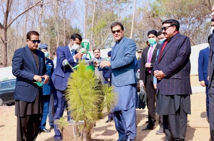 PM urges nation to take part in biggest tree plantation campaign