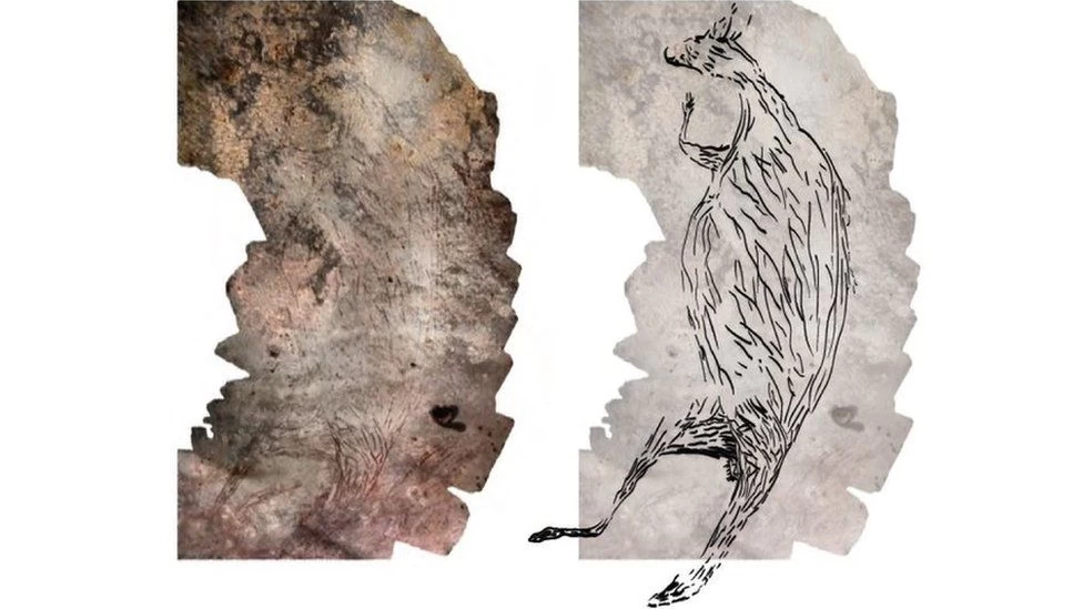Scientists discover 17,300-year-old painting of kangaroo in Australia