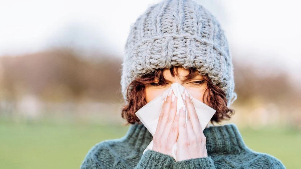Common cold can boot out coronavirus, research reveals