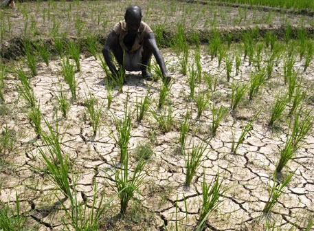 Pakistan to have 10% less water for Kharif crop