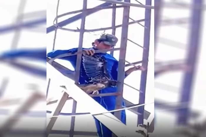 Man climbs 180-feet tower to rescue trapped bird
