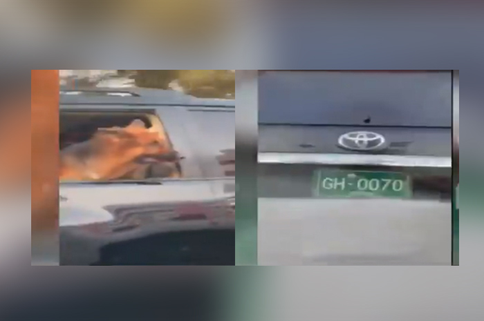 Dog takes a ride in Sindh Governor House’s vehicle
