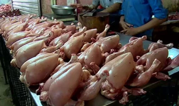 Poultry price hits new peak, now costs Rs. 400 per kg