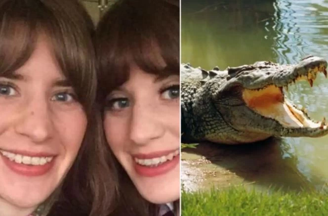 Brave woman punches 10-Ft-long crocodile in the face, saves twin