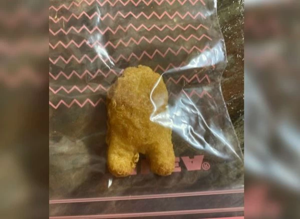 Chicken nugget sold for nearly $100,000 on eBay