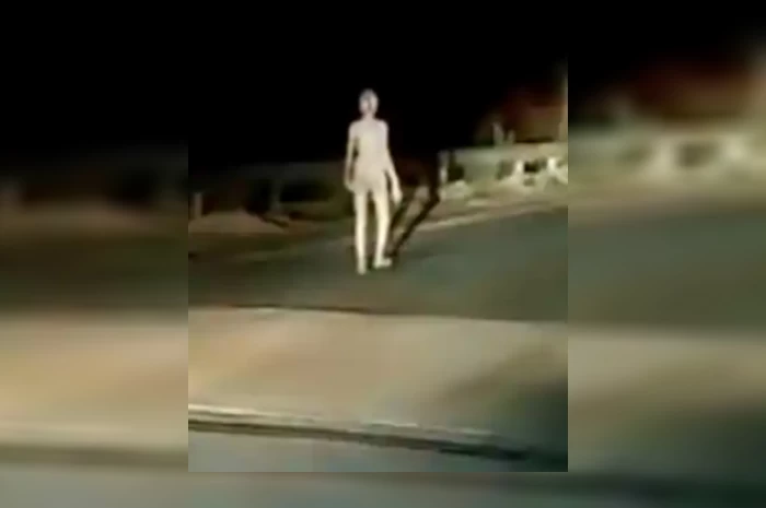Alien or ghost? Bizarre human-like creature spotted in India