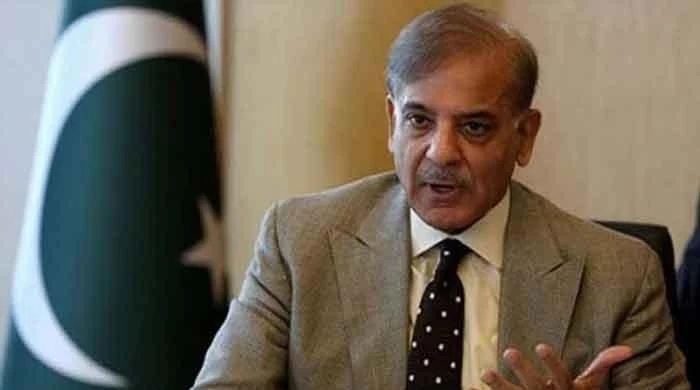 LHC grants bail to Shahbaz Sharif in money laundering reference