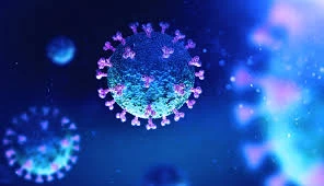 Pakistan coronavirus death toll tops 14,000