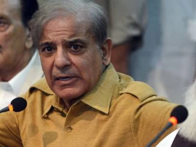 Shahbaz Sharif terms PM Imran Khan, his cabinet real cause of load shedding