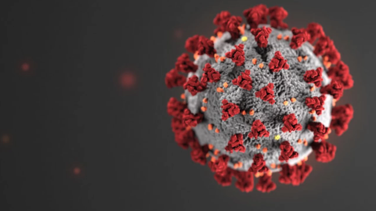 Coronavirus in Pakistan: 56 more succumb to virus in 24 hours
