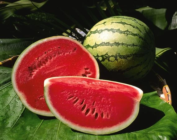 ‘Health benefits of watermelon’: 7 reasons why watermelons are the best thing about summer