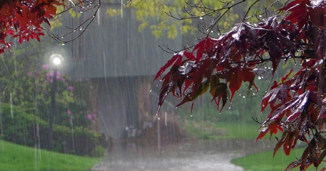 محکمہ موسمیات کی ملک کے بالائی اور وسطی علاقوں میں بارشوں  کی پیشگوئی
