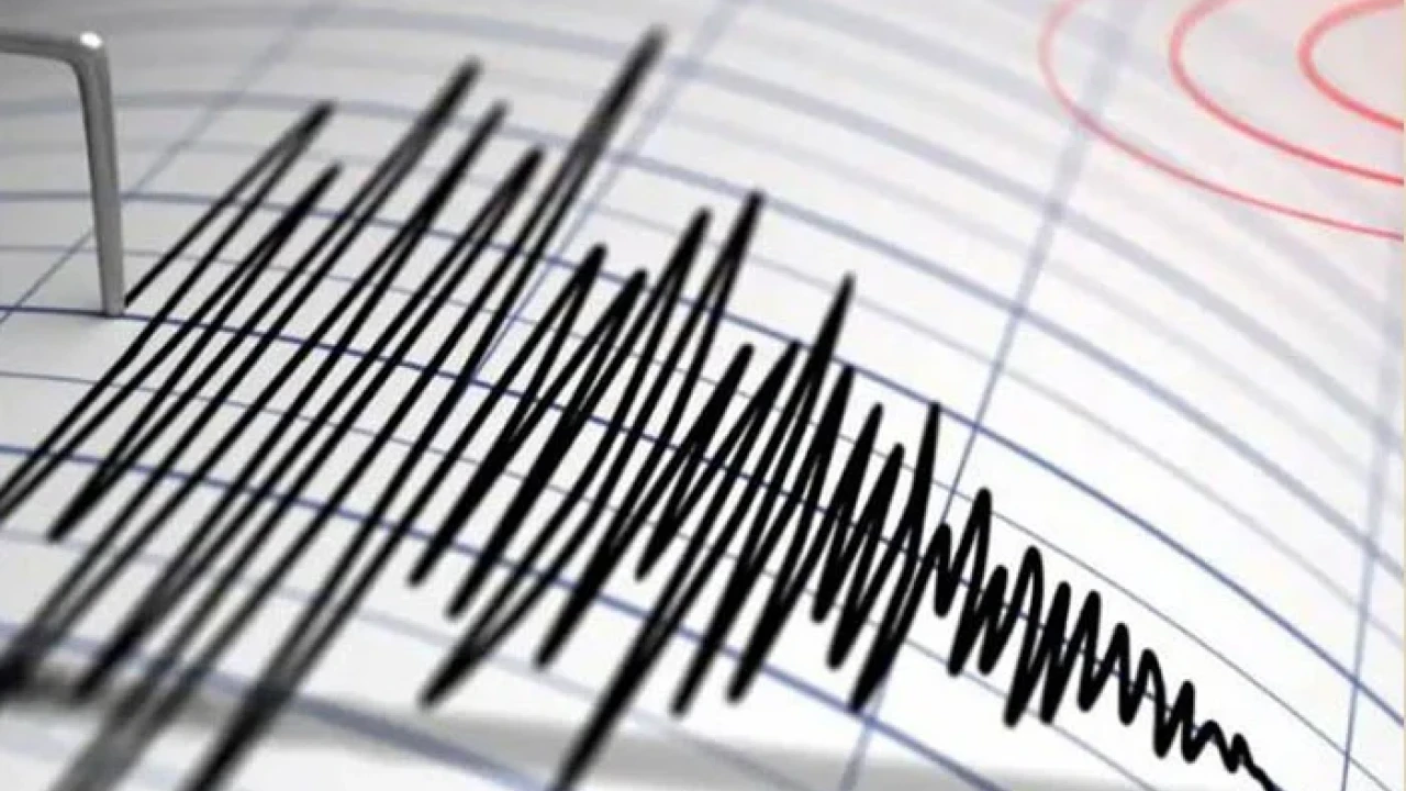 Magnitude 4.8 earthquake in Zhob