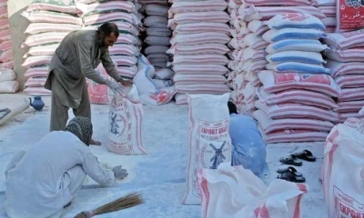 Govt allows to export flour