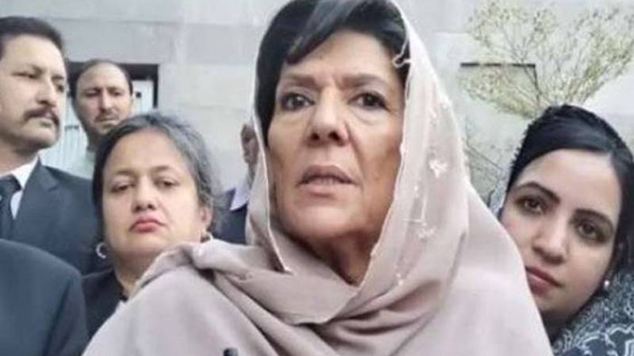 نواز شریف کو پانامہ کیس میں اقامہ پر سزا دینا ججز کی غلطی تھی، علیمہ خان