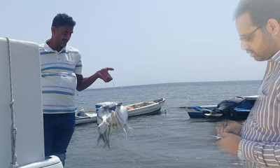 سعودی عرب نے بحیرہ احمر میں ناجل اور طراد مچھلی کے شکار پر پابندی عائد کردی
