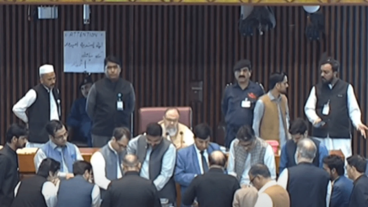 Ishaq Dar, Mehmoodul Hassan win Senate elections